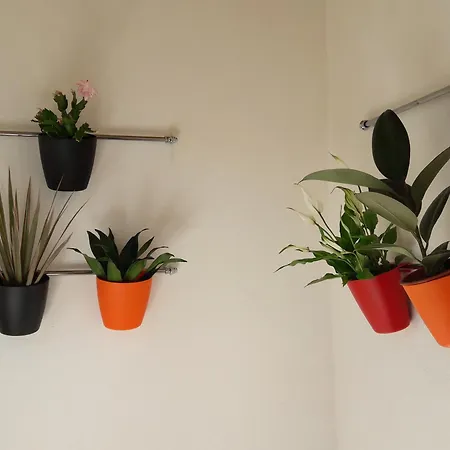 Terranova Apartment